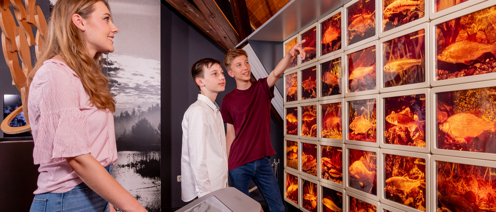 Drei Jugendliche betrachten die Medienstation Sprechende Fische im Museumsquartier Tirschenreuth