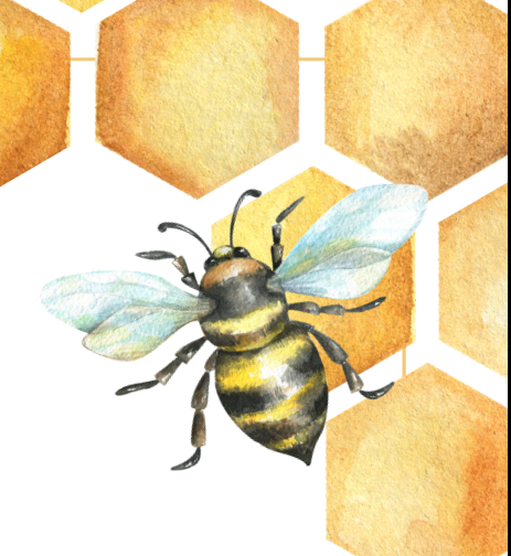Grafik einer Biene und Bienenwabe